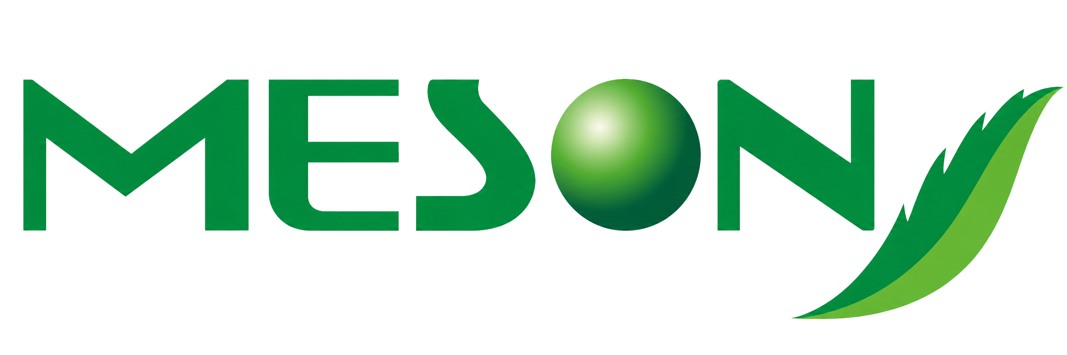 Meson